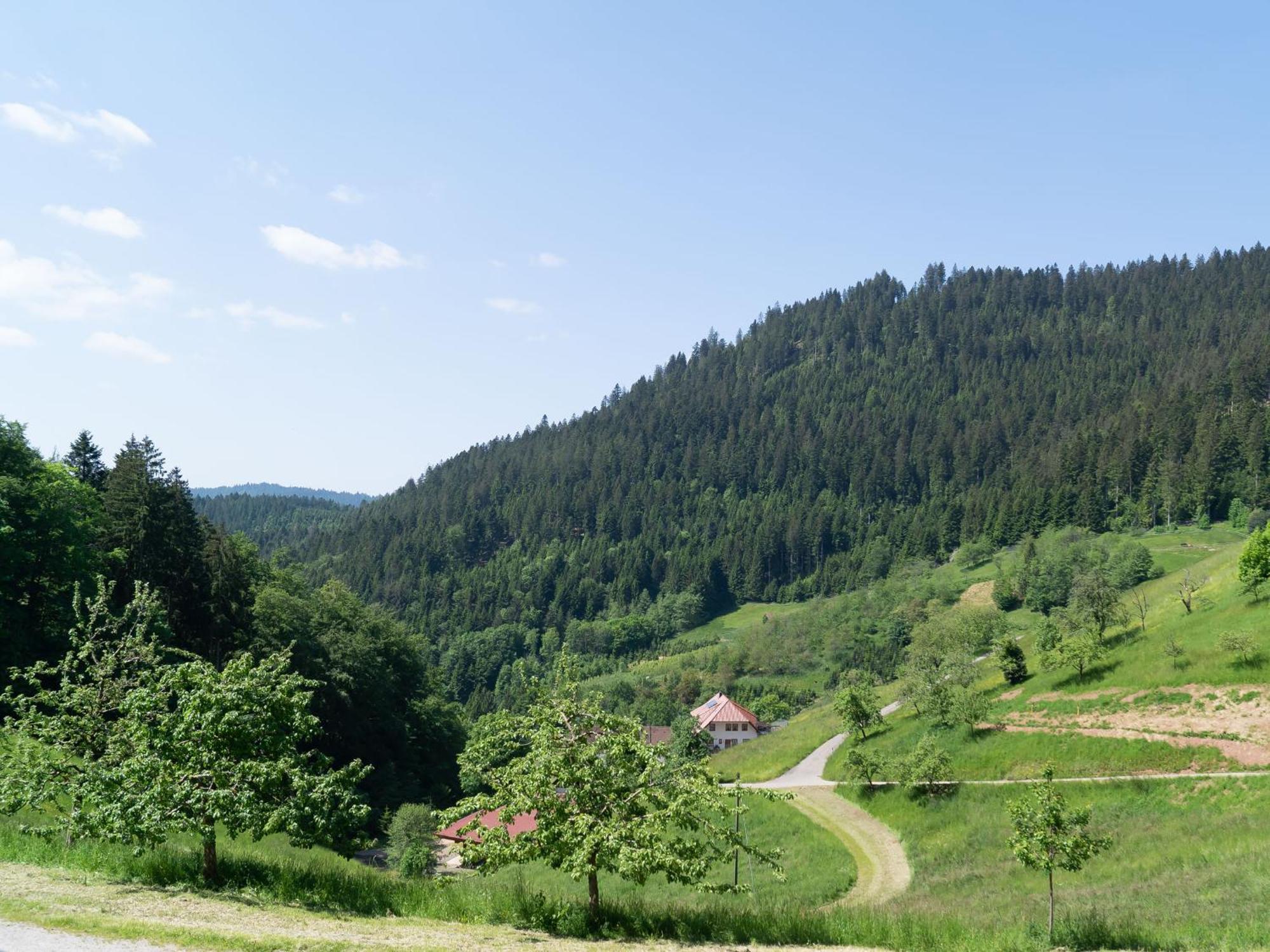 Apartmán Holderstanzenhof Bad Peterstal-Griesbach Exteriér fotografie