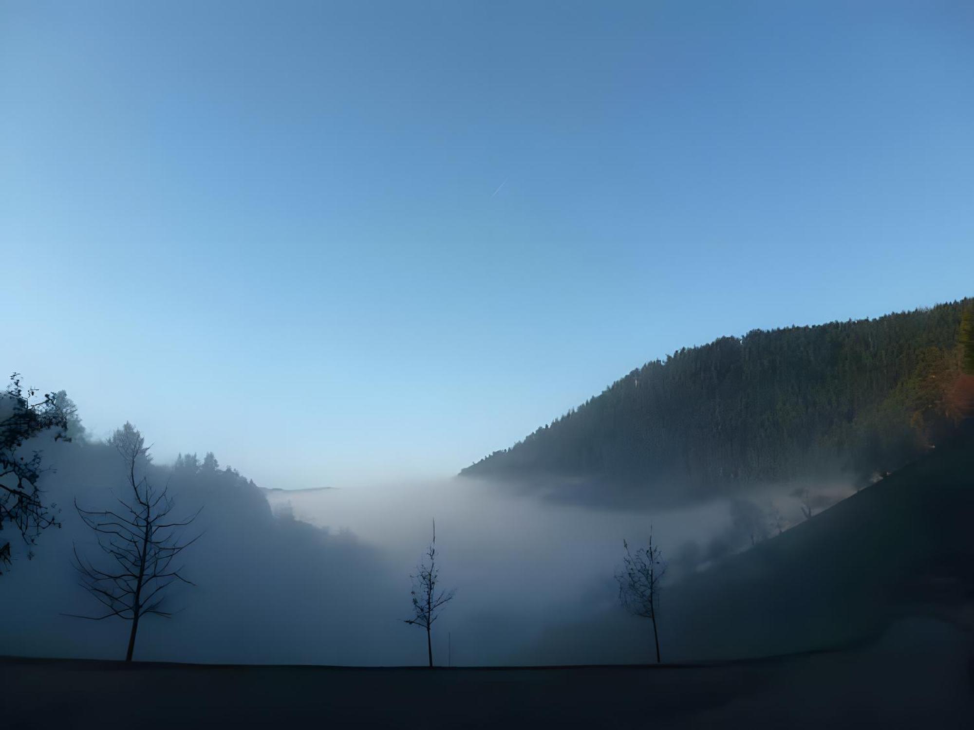 Apartmán Holderstanzenhof Bad Peterstal-Griesbach Exteriér fotografie