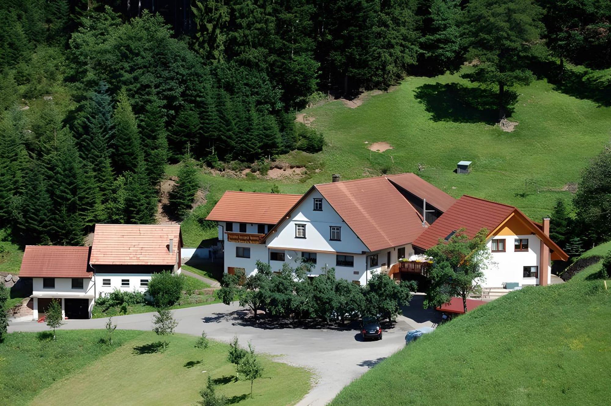 Apartmán Holderstanzenhof Bad Peterstal-Griesbach Exteriér fotografie