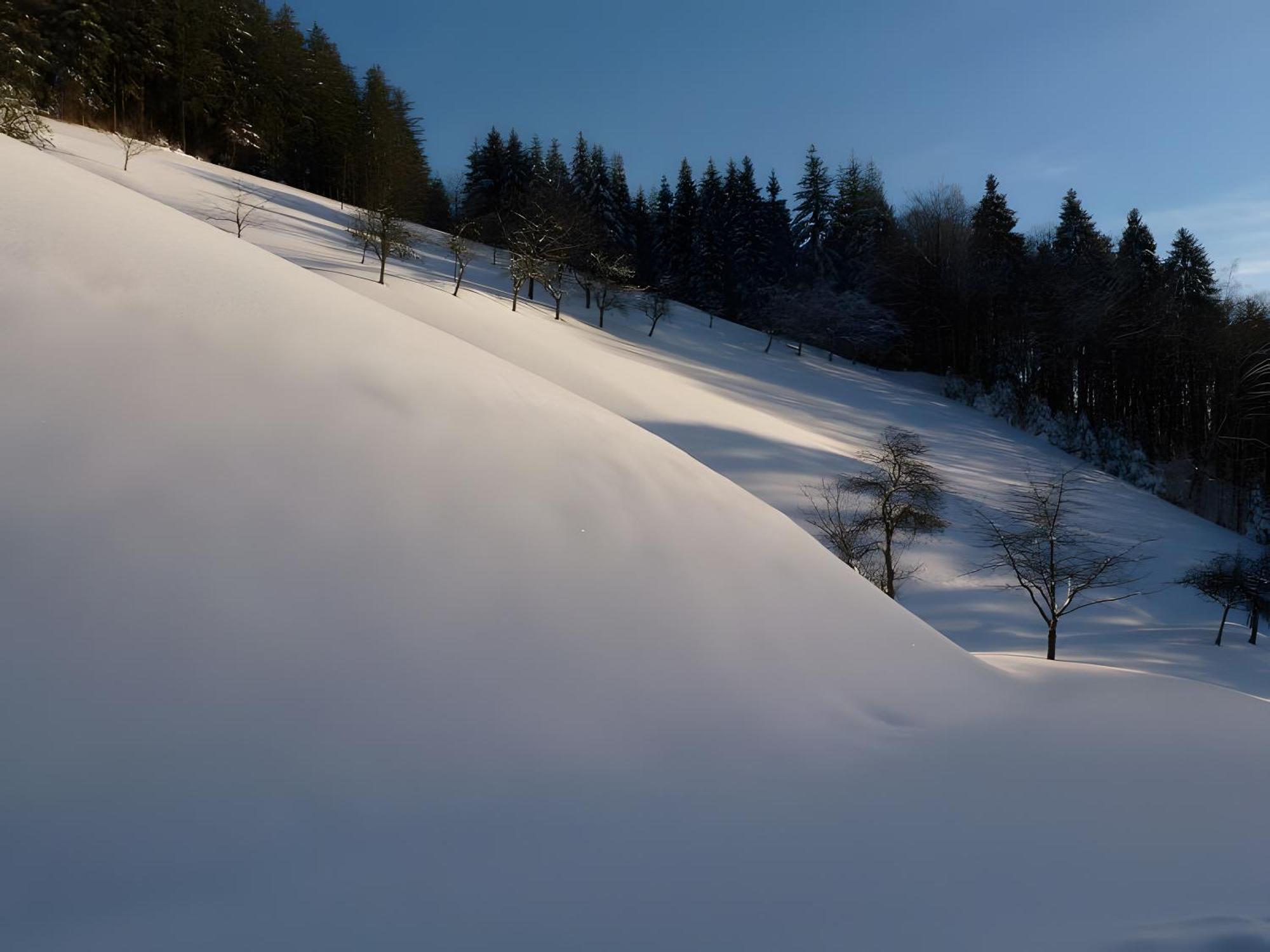 Apartmán Holderstanzenhof Bad Peterstal-Griesbach Exteriér fotografie