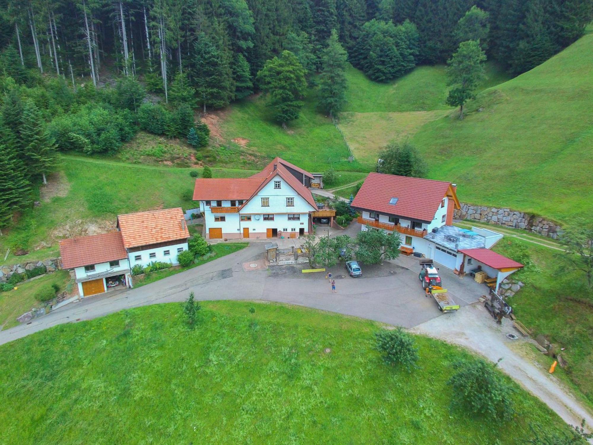 Apartmán Holderstanzenhof Bad Peterstal-Griesbach Exteriér fotografie