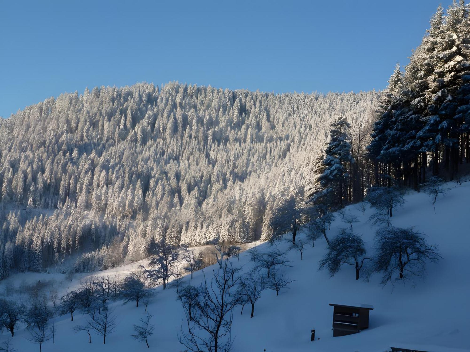 Apartmán Holderstanzenhof Bad Peterstal-Griesbach Exteriér fotografie
