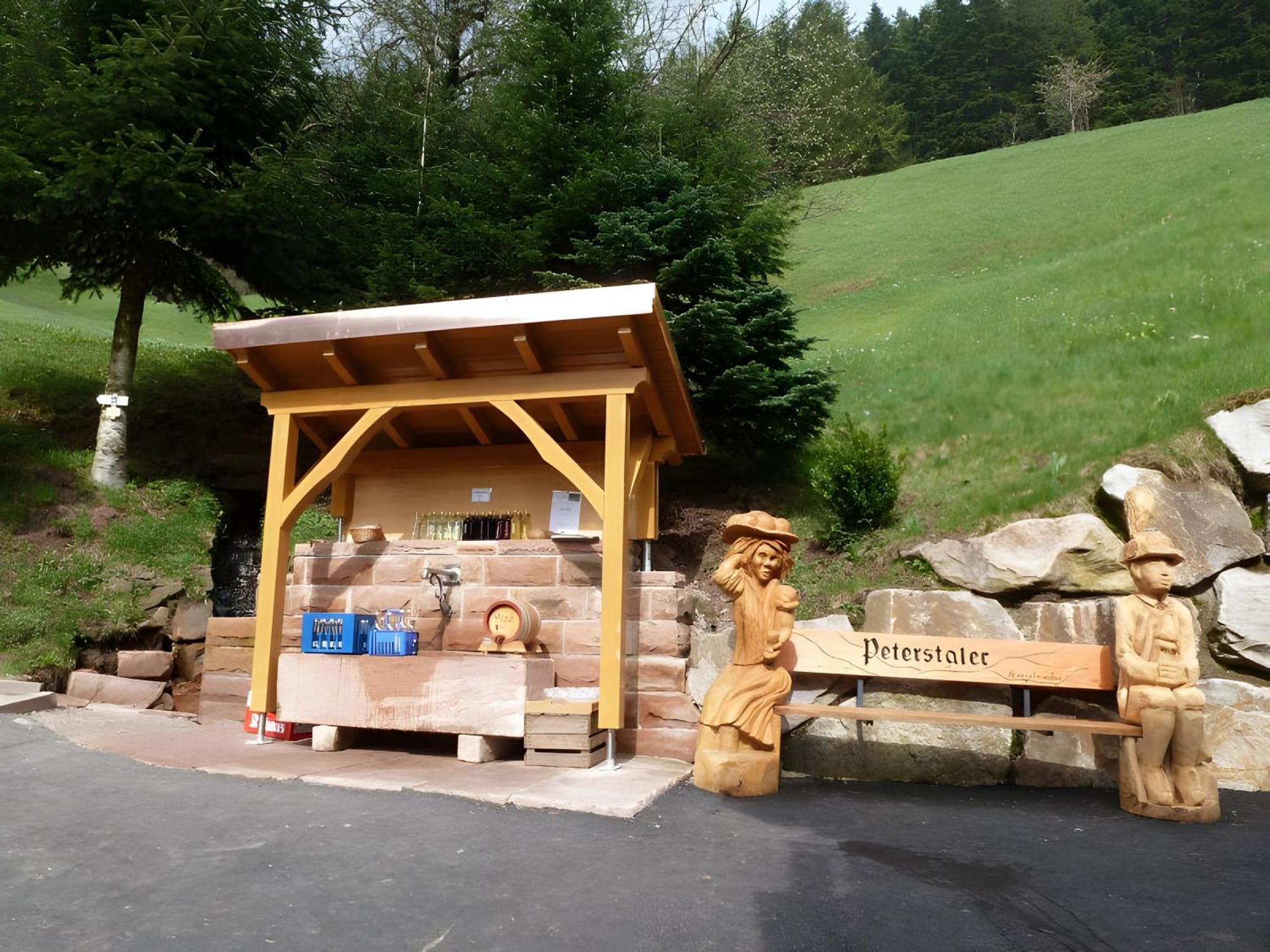 Apartmán Holderstanzenhof Bad Peterstal-Griesbach Exteriér fotografie