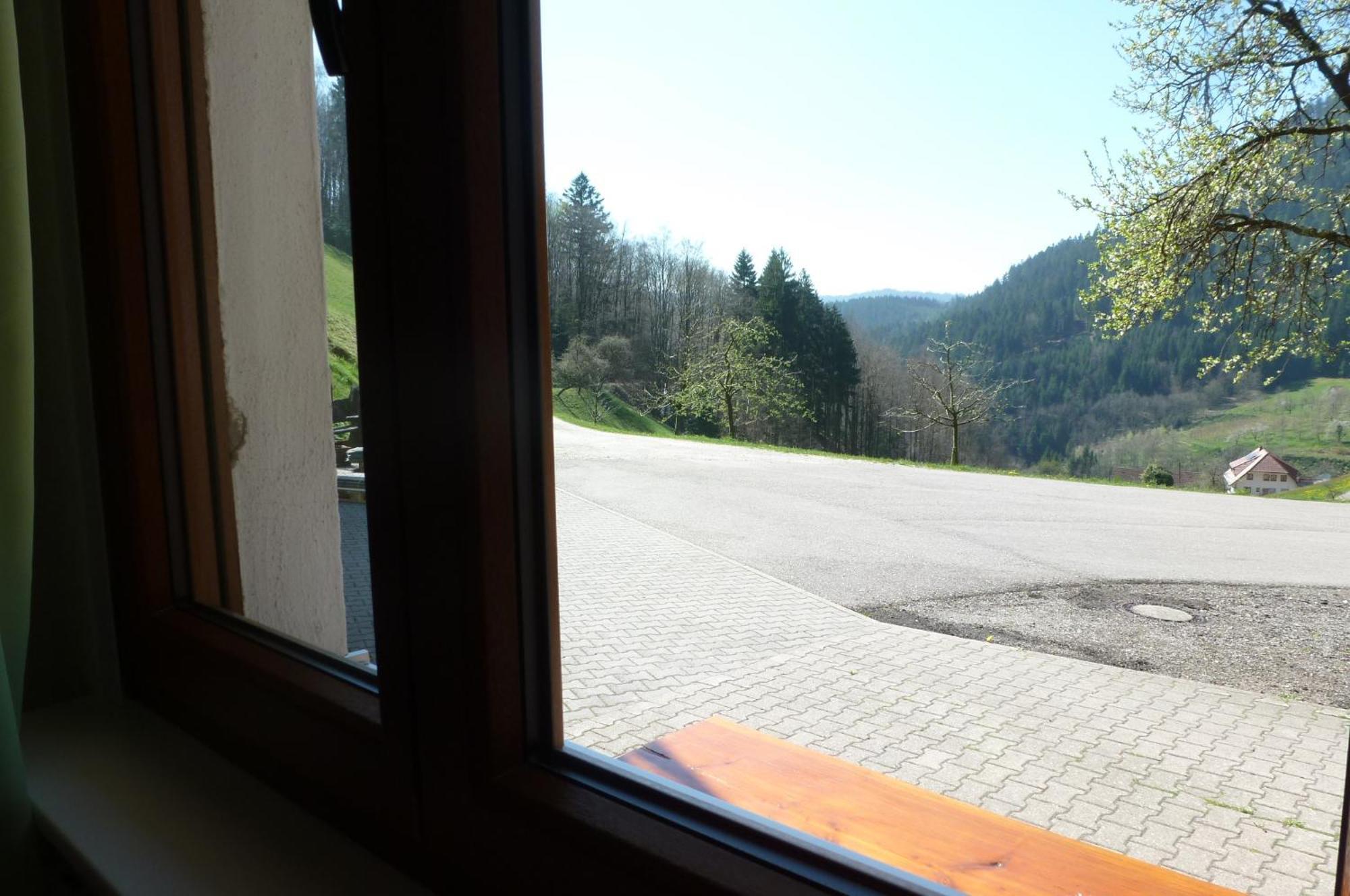 Apartmán Holderstanzenhof Bad Peterstal-Griesbach Exteriér fotografie