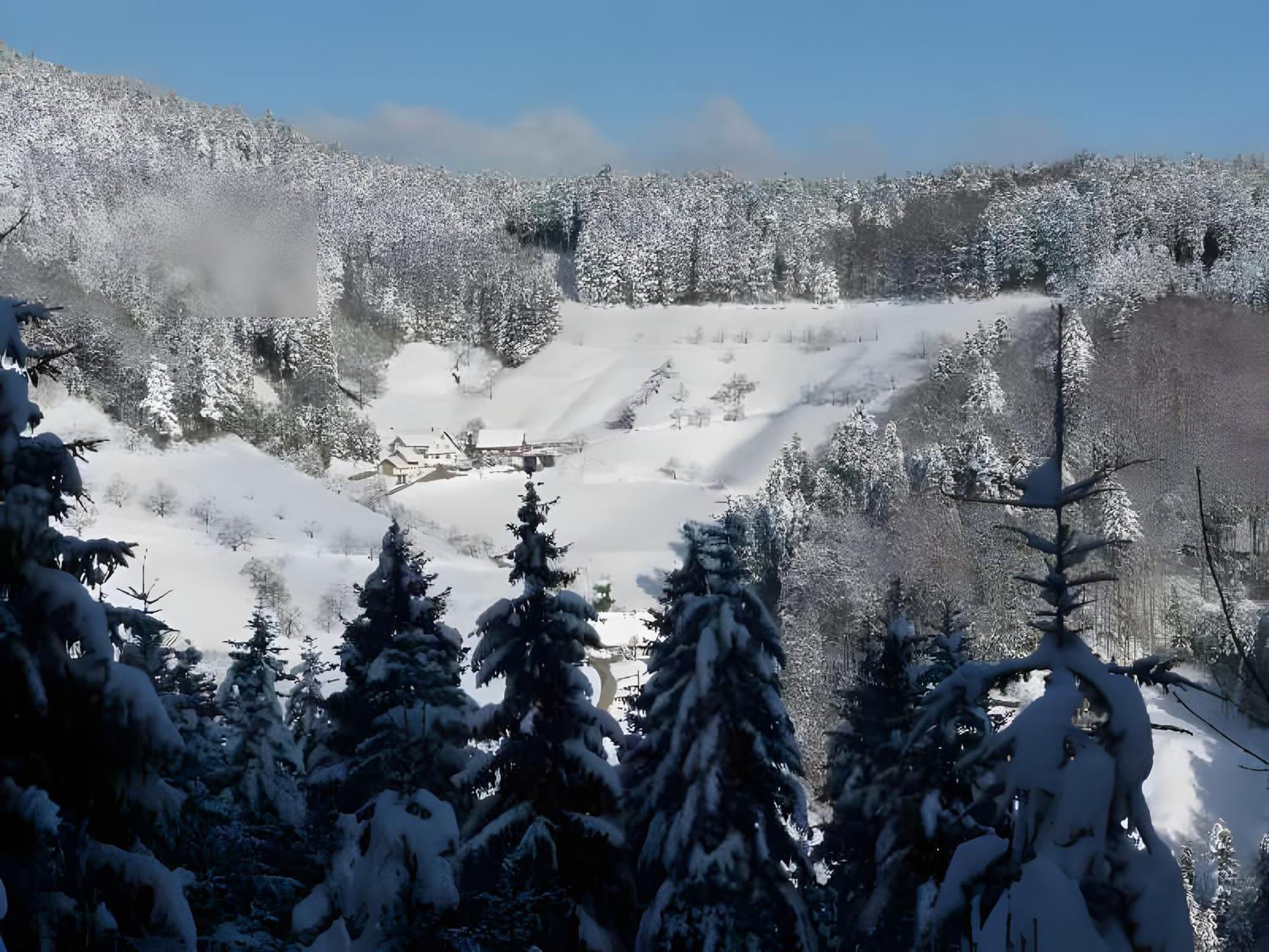 Apartmán Holderstanzenhof Bad Peterstal-Griesbach Exteriér fotografie